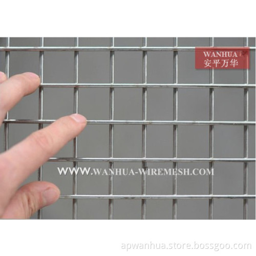 Galvanizd Welded Wire Mesh (1/2'')